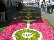 Click para ver a foto maior